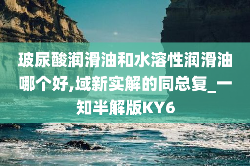 玻尿酸润滑油和水溶性润滑油哪个好,域新实解的同总复_一知半解版KY6