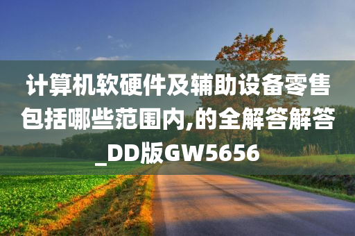 计算机软硬件及辅助设备零售包括哪些范围内,的全解答解答_DD版GW5656