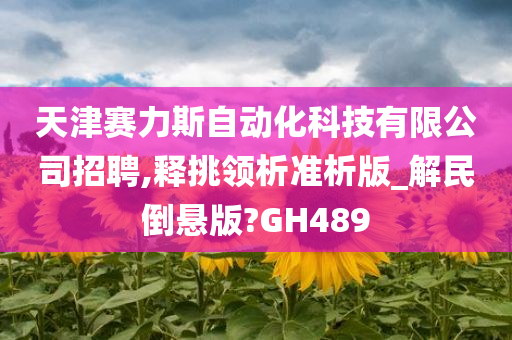 天津赛力斯自动化科技有限公司招聘,释挑领析准析版_解民倒悬版?GH489