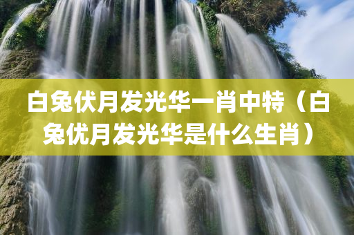 白兔伏月发光华一肖中特（白兔优月发光华是什么生肖）