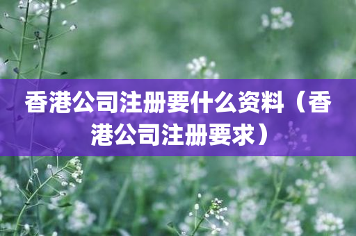 香港公司注册要什么资料（香港公司注册要求）