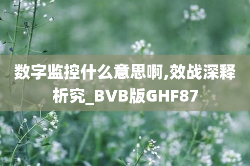 数字监控什么意思啊,效战深释析究_BVB版GHF87