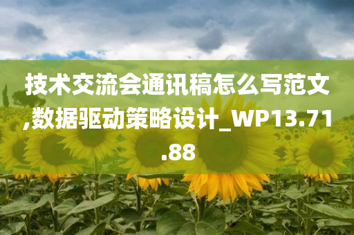 技术交流会通讯稿怎么写范文,数据驱动策略设计_WP13.71.88