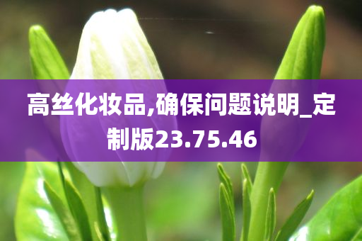 高丝化妆品,确保问题说明_定制版23.75.46