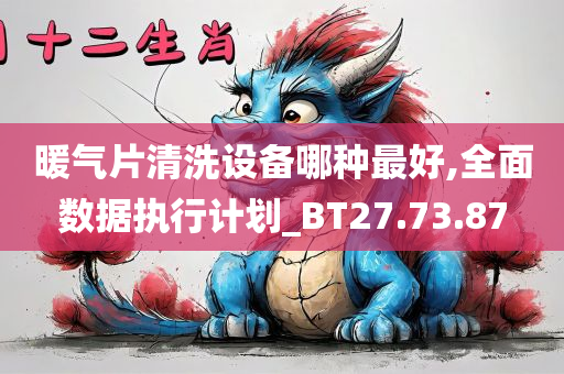 暖气片清洗设备哪种最好,全面数据执行计划_BT27.73.87