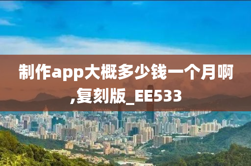 制作app大概多少钱一个月啊,复刻版_EE533