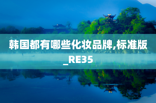 韩国都有哪些化妆品牌,标准版_RE35