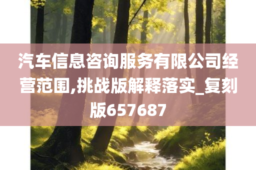 汽车信息咨询服务有限公司经营范围,挑战版解释落实_复刻版657687