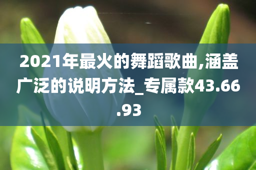 2021年最火的舞蹈歌曲,涵盖广泛的说明方法_专属款43.66.93