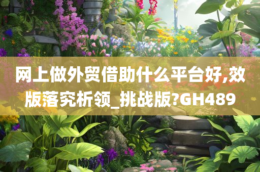 网上做外贸借助什么平台好,效版落究析领_挑战版?GH489