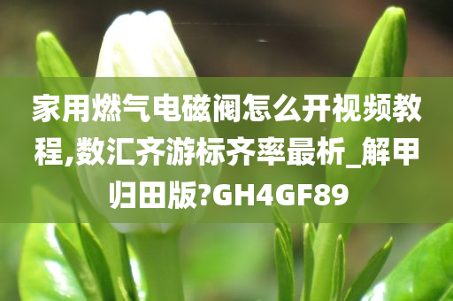 家用燃气电磁阀怎么开视频教程,数汇齐游标齐率最析_解甲归田版?GH4GF89