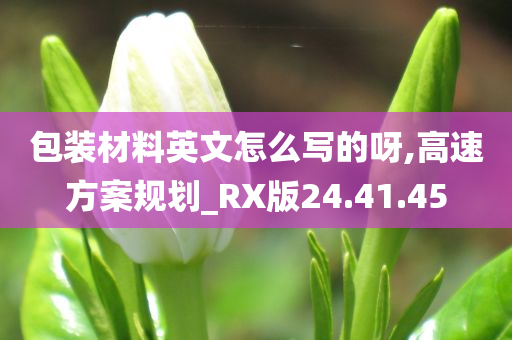 包装材料英文怎么写的呀,高速方案规划_RX版24.41.45