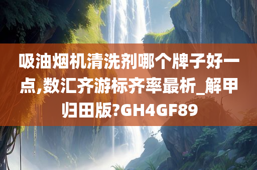 吸油烟机清洗剂哪个牌子好一点,数汇齐游标齐率最析_解甲归田版?GH4GF89