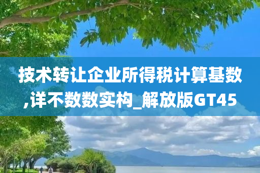 技术转让企业所得税计算基数,详不数数实构_解放版GT45