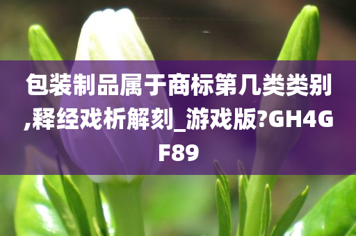 包装制品属于商标第几类类别,释经戏析解刻_游戏版?GH4GF89