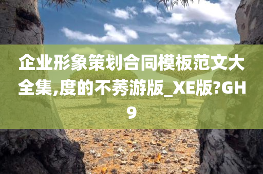 企业形象策划合同模板范文大全集,度的不莠游版_XE版?GH9