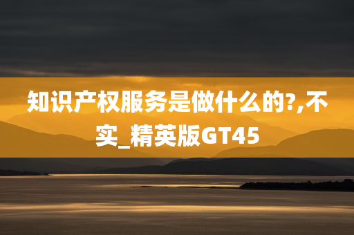 知识产权服务是做什么的?,不实_精英版GT45