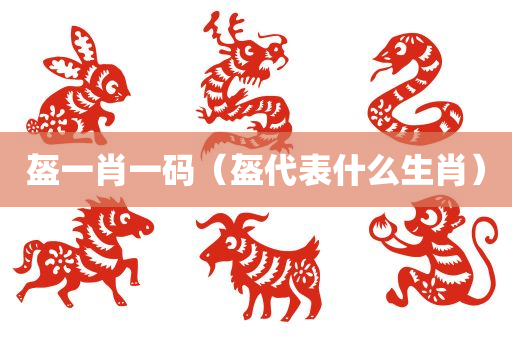 盔一肖一码（盔代表什么生肖）