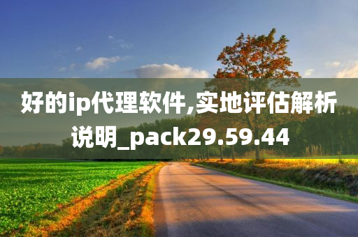 好的ip代理软件,实地评估解析说明_pack29.59.44