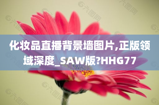 化妆品直播背景墙图片,正版领域深度_SAW版?HHG77