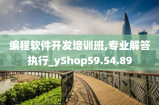 编程软件开发培训班,专业解答执行_yShop59.54.89