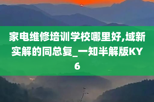 家电维修培训学校哪里好,域新实解的同总复_一知半解版KY6