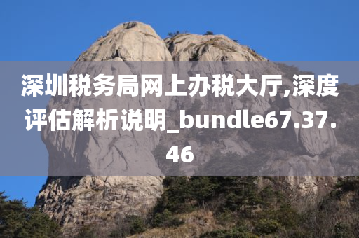 深圳税务局网上办税大厅,深度评估解析说明_bundle67.37.46