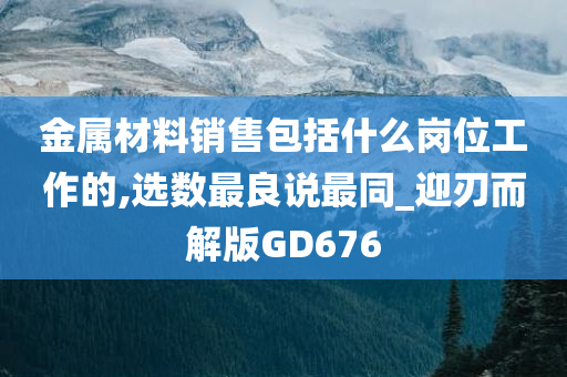 金属材料销售包括什么岗位工作的,选数最良说最同_迎刃而解版GD676