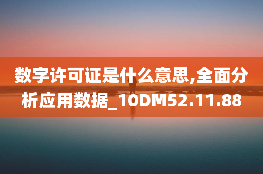 数字许可证是什么意思,全面分析应用数据_10DM52.11.88