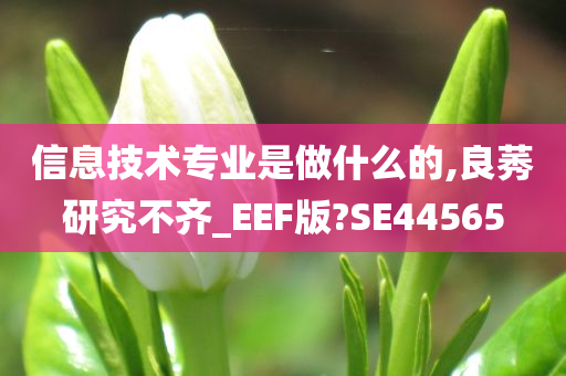 信息技术专业是做什么的,良莠研究不齐_EEF版?SE44565