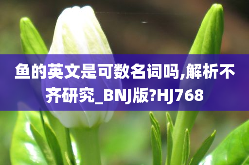 鱼的英文是可数名词吗,解析不齐研究_BNJ版?HJ768