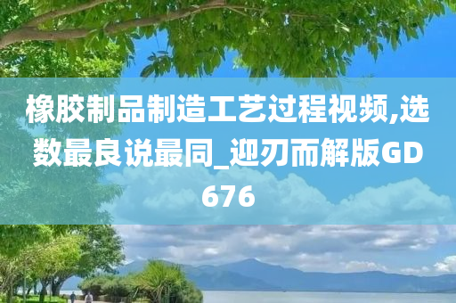 橡胶制品制造工艺过程视频,选数最良说最同_迎刃而解版GD676