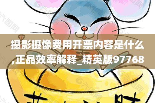 摄影摄像费用开票内容是什么,正品效率解释_精英版97768