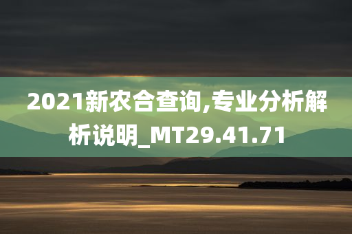 2021新农合查询,专业分析解析说明_MT29.41.71