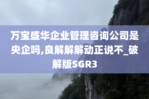 万宝盛华企业管理咨询公司是央企吗,良解解解动正说不_破解版SGR3