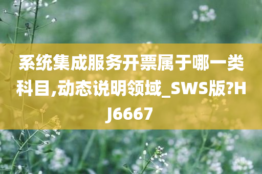 系统集成服务开票属于哪一类科目,动态说明领域_SWS版?HJ6667