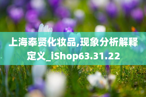 上海奉贤化妆品,现象分析解释定义_iShop63.31.22