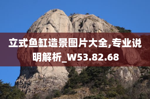 立式鱼缸造景图片大全,专业说明解析_W53.82.68