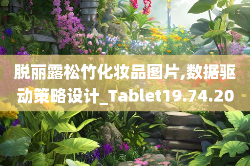 脱丽露松竹化妆品图片,数据驱动策略设计_Tablet19.74.20