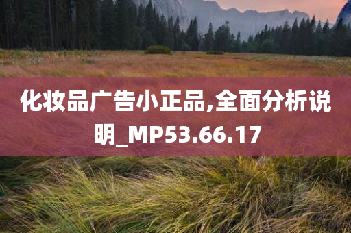 化妆品广告小正品,全面分析说明_MP53.66.17