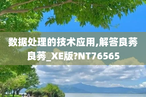 数据处理的技术应用,解答良莠良莠_XE版?NT76565