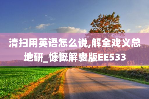 清扫用英语怎么说,解全戏义总地研_慷慨解囊版EE533