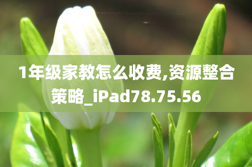 1年级家教怎么收费,资源整合策略_iPad78.75.56