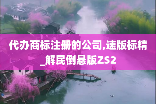 代办商标注册的公司,速版标精_解民倒悬版ZS2