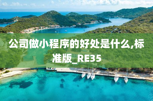 公司做小程序的好处是什么,标准版_RE35