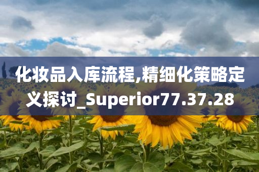 化妆品入库流程,精细化策略定义探讨_Superior77.37.28