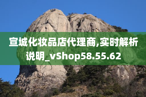 宣城化妆品店代理商,实时解析说明_vShop58.55.62