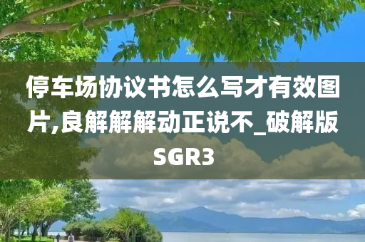 停车场协议书怎么写才有效图片,良解解解动正说不_破解版SGR3