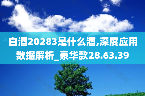 白酒20283是什么酒,深度应用数据解析_豪华款28.63.39