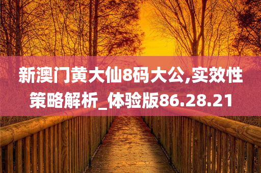 新澳门黄大仙8码大公,实效性策略解析_体验版86.28.21